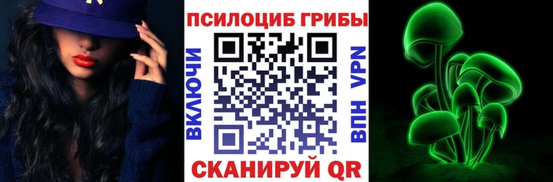 кракен Высоцк Псилоцибиновые грибы мухоморы
